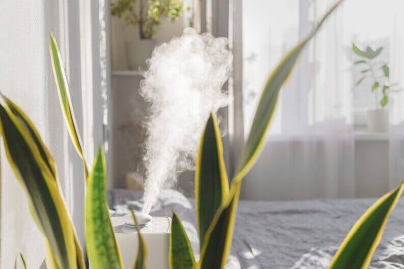 How Air Purifiers Combat Indoor Air Pollutants