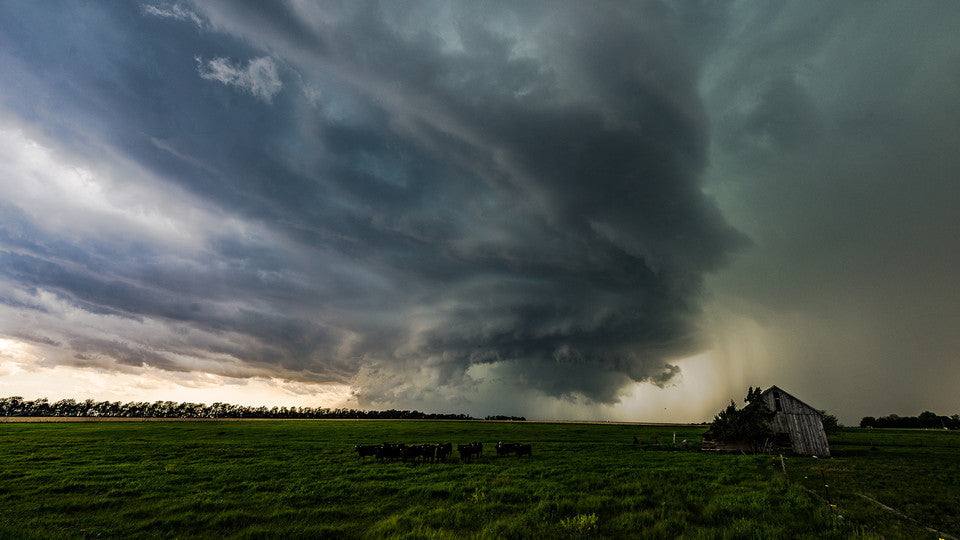 Nebraska Recovers, Texas Prepares : Vizocare offers Storm Relief Solutions - VizoCare