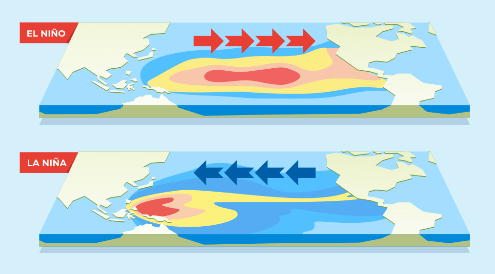La Niña Looms: What It Means for Hurricane Season and Beyond - VizoCare