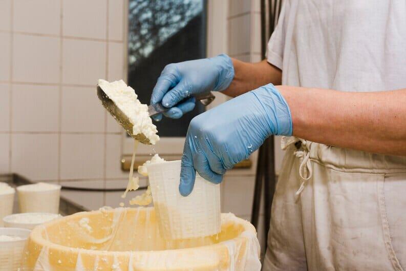 Disposable Gloves in the Dairy Industry: Ensuring Safety and Quality
