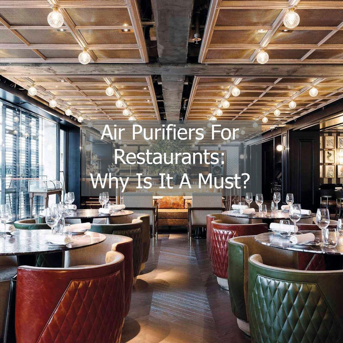 Air Purifiers For Restaurants:  Why Is It A Must