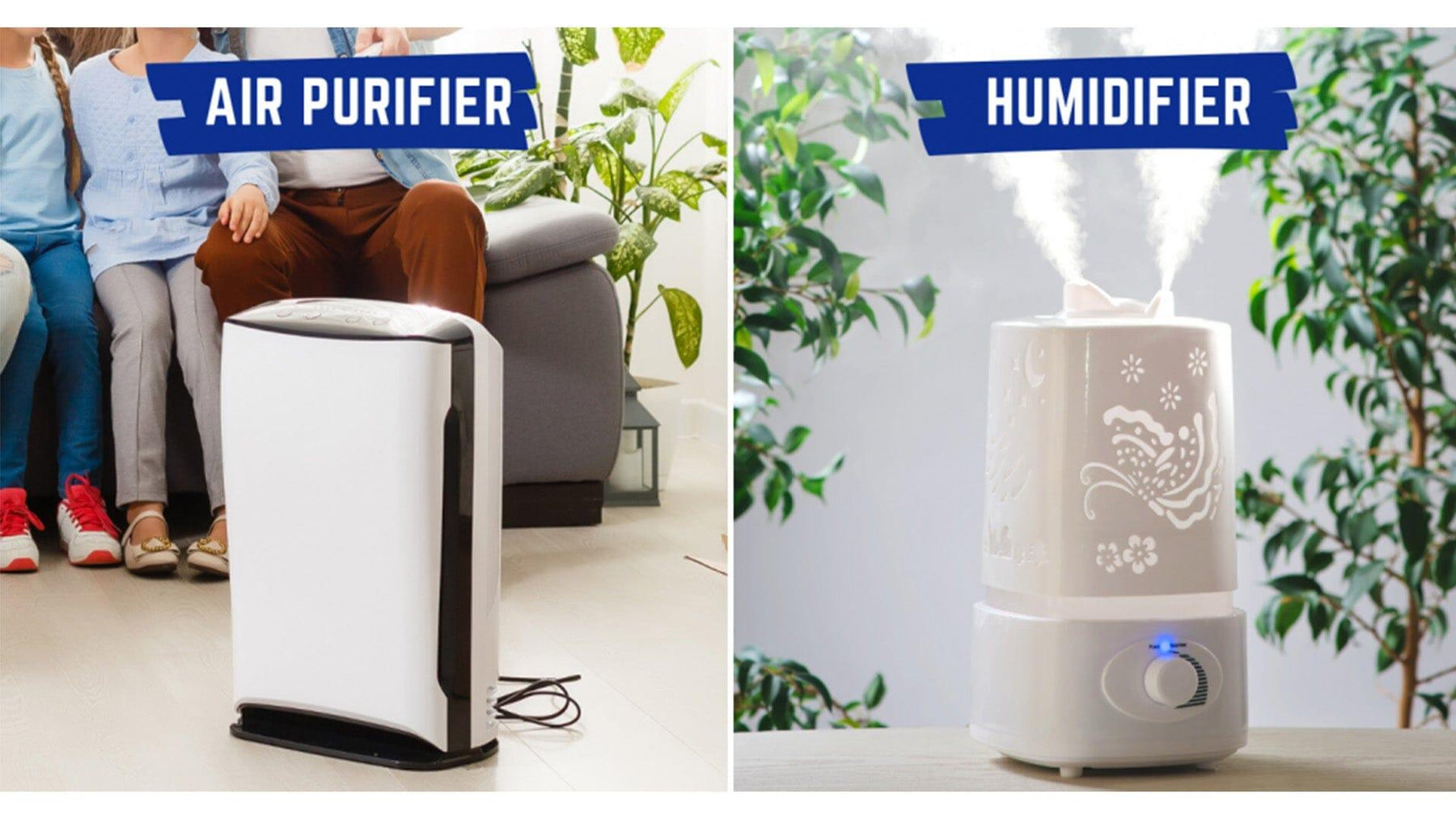 Air Purifiers vs. Humidifiers: Understanding the Difference