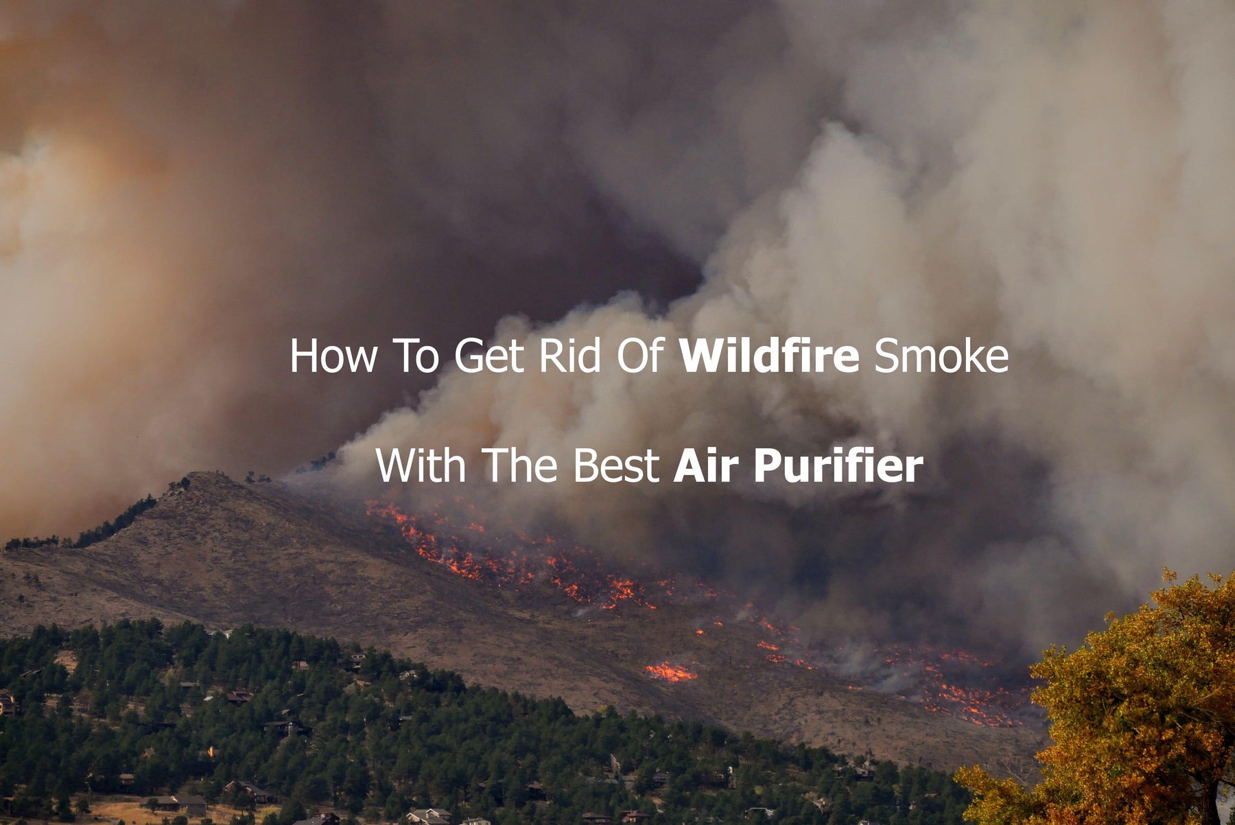 How To Get Rid Of Wildfire Smoke With The Best Air Purifier