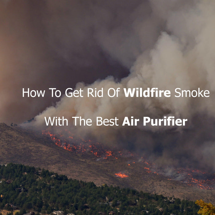 How To Get Rid Of Wildfire Smoke With The Best Air Purifier