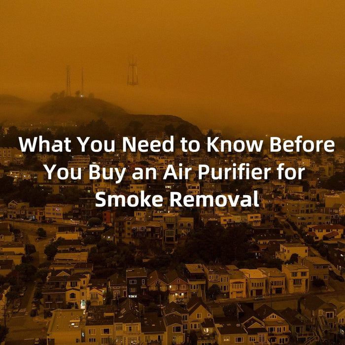 What You Need to Know Before You Buy an Air Purifier for Smoke Removal