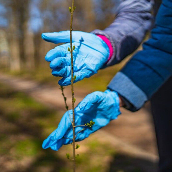 Best Disposable Gloves to Protect Your Hands in The Garden
