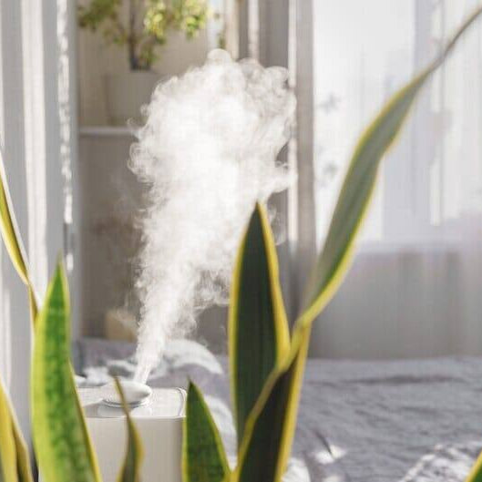 How Air Purifiers Combat Indoor Air Pollutants
