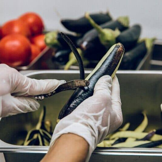 Disposable Gloves: Not Just for Medical Professionals Anymore