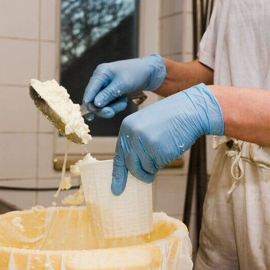 Disposable Gloves in the Dairy Industry: Ensuring Safety and Quality