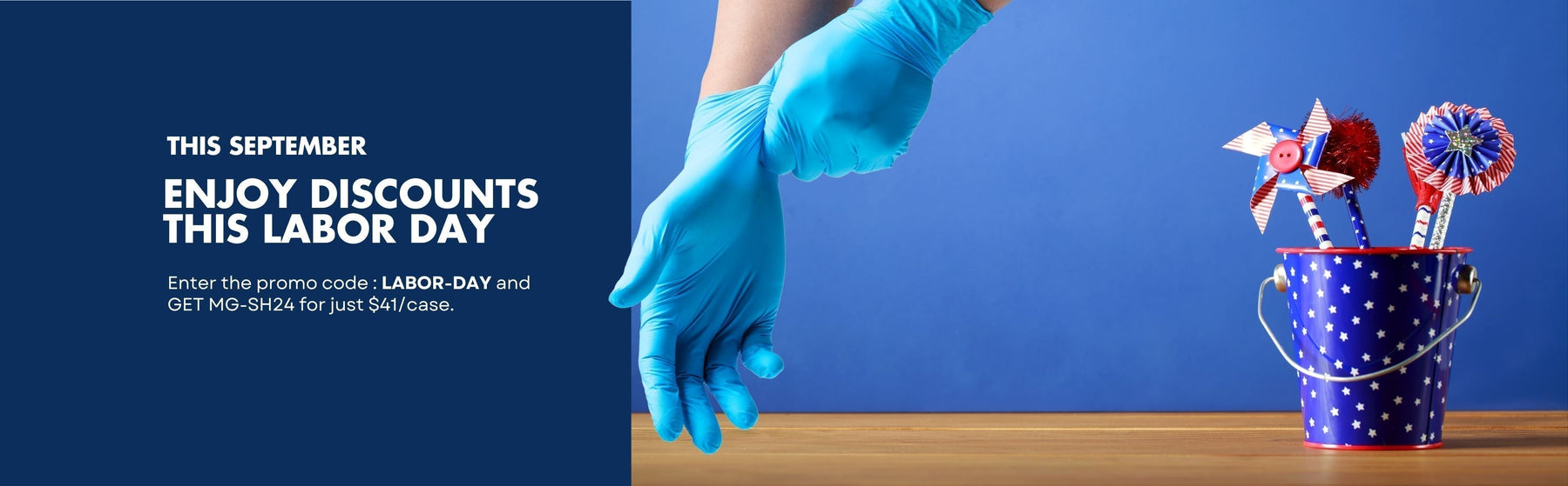 Vizocare's Labor day and Proactive Safety Framework for Fall 2025