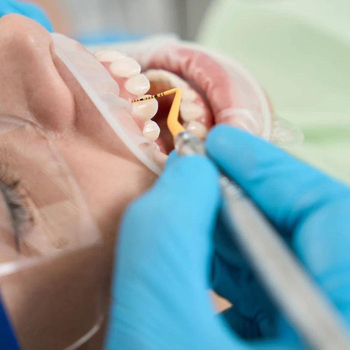 Dentist Inspecting Patient Teeth While Wearing GP Craft 4.4 MIL Blue Nitrile Exam Gloves