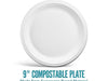 Perk Compostable Paper Plates, 9”, White, 250/Pack (FS-B12C) - VizoCare