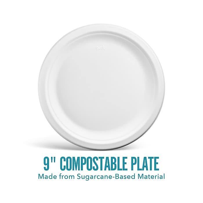 Perk Compostable Paper Plates, 9”, White, 250/Pack (FS-B12C) - VizoCare