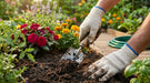 Person gardening with gloves on, tending to plants in a garden.