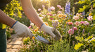 Person gardening with gloves and tools in a colorful flower garden