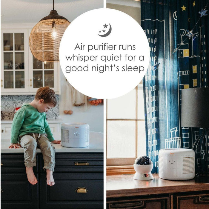 Crane - Small Air Purifier with 2.5 PPM filter capability 