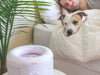 Crane - Small Air Purifier with 2.5 PPM filter capability - Removes 2.5PPM. It also filters out common household orders that can cause sinus irritation