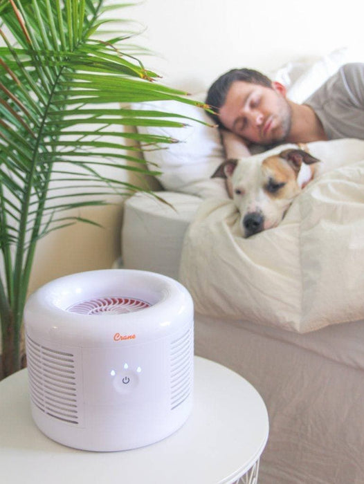 Crane - Small Air Purifier with 2.5 PPM filter capability - Removes 2.5PPM. It also filters out common household orders that can cause sinus irritation