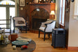 Austin Allergy Machine Air Purifier HM405 perfect for sitting rooms and the living area