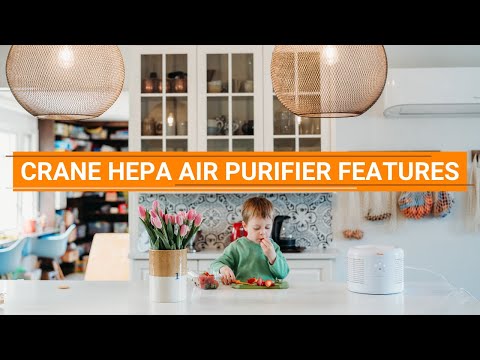 Crane - Small Air Purifier with 2.5 PPM filter capability, Video Preview 